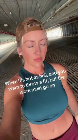 Mentally I’m on a beach sipping a frozen drink 🏝️🧉 #fyp #farmlife #poultryfarming #Summer #foryou 