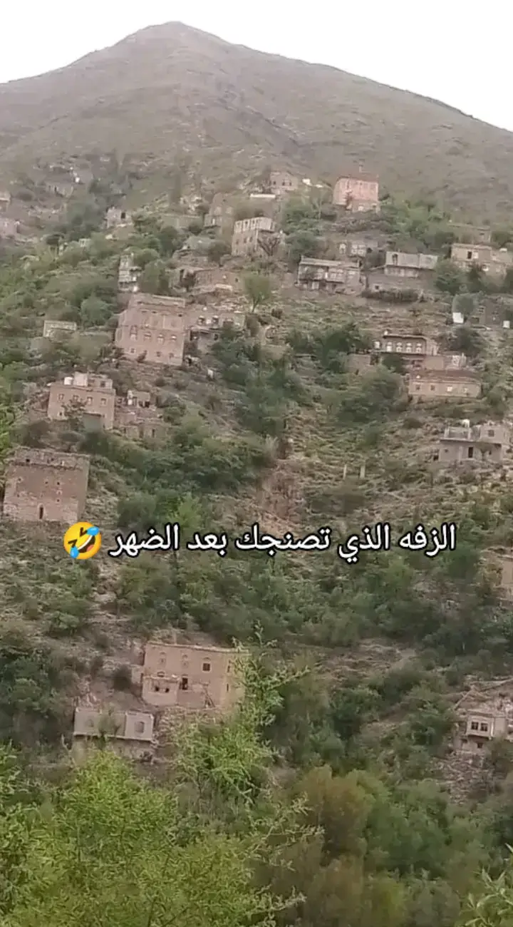 #ريف #اليمن🇾🇪  زفة منى علي القديم 🫶🏻🌹🥰🌹