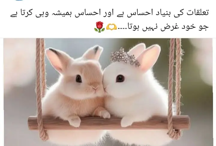 انسان کو محبت سے زیادہ سمجھنے والے کی ضرورت ہوتی ہے 💯🥀🍁🥀