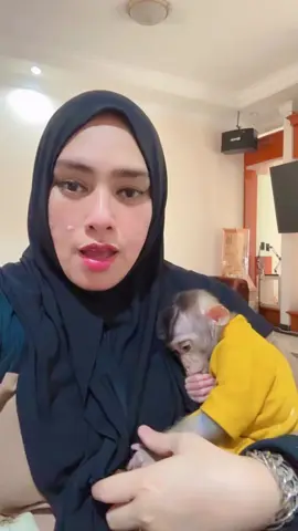 #ichaatazen #ichaatazen78 #palembang #palembangtiktok #fyp 