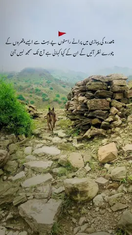 ★♡🦋: کیا ہمارے دُکھوں میں سب سے بڑا دُکھ یہ نہیں ہے کہ ،ہم گزر رہے ہیں، گزرتے جا رہے ہیں اور گزر چکے ہے۔