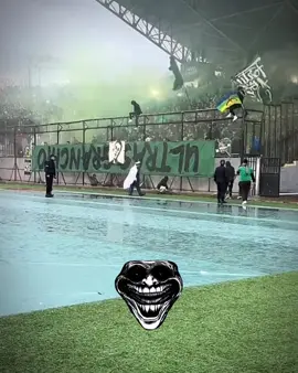 #jskabylie💛💚 #mobejaia🖤💚 #moberber💚🖤 #ultras_granchio_💚🖤 #mobejaia💚🖤💪🦀 