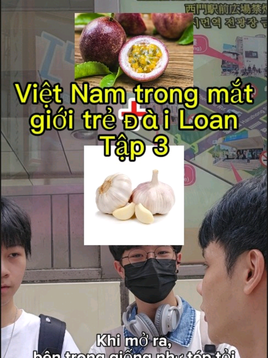 Việt Nam trong mắt giới trẻ Đài Loan Tập 3 #việtnam  #việtnamtiktok #đàiloan 
