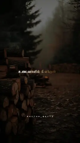 உன் பார்வை எந்தன் உயிர் தொட்ட தருவாயோ. ..🥰 #tamilsongs #whatsappstatus #rhythmbeatz #rhythm #meenu 
