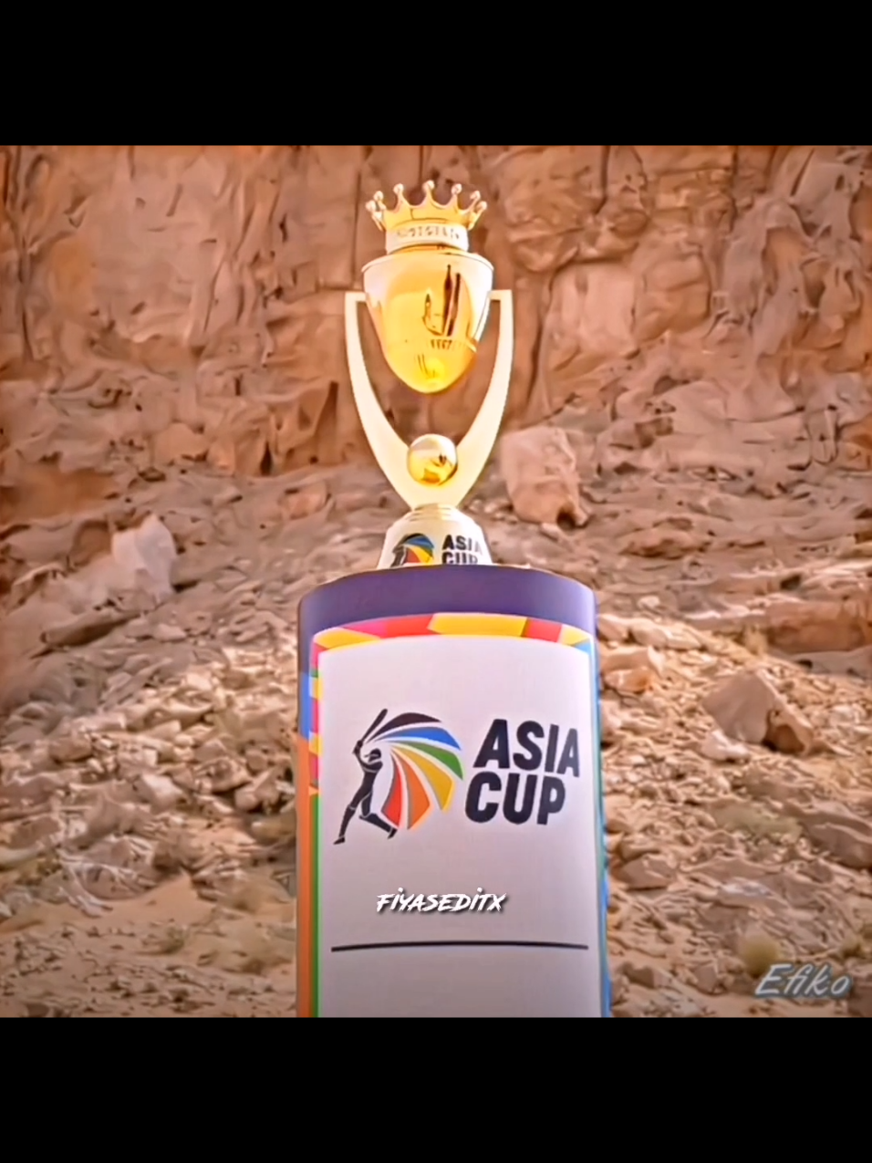Are you Ready for Asia Cup 2025.!❣️ #fypシ゚viral #videoviral #foryoupage #cricketlover #asiacup 