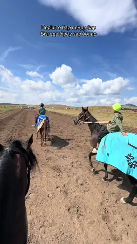 #рекомендации #байге🐎👑 #баянауыл 