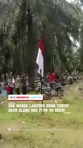 LAMPUNG, HELOINDONESIA.COM - Sekitar 300 warga Kampung Tanjungpandan Kecamatan Bangunrejo Kabupaten Lampung Tengah, menggelar aksi demo di areal kebun kelapa sawit PTPN VII Unit Usaha Bekri, Kamis (21/08/25). Massa yang menamakan Aliansi Masyarakat Bersatu  (AMB) berorasi dibawah kebun kelapa sawit wilayah Gunung Senin, Makam Tua Tipo Lama, Tanjungpapandan, yang masuk lahan yang mereka persoalkan.  Mereka membentangkan berbagai spanduk bertuliskan antara lain “PTPN VII/PTPN IV jangan rakus mengambil tanah rakyat. Pejuang Tanah Rakyat Bergerak Tentukan Batas Ijin HGU Dengan Batas Tanah Rakyat, Lakukan Pengukuran Lahan HGU PTPN VII/IV”. Sementara yang lain puluhan perwakilan pengunjuk rasa berdialog di Kantor PTPN VII Bekri dengan pihak manajemen perusahaan. Aksi warga Tanjungpandan itu dijaga puluhan personil Polsek Bangunrejo dan Polsek Gunungsugih Lampung Tengah. Koordinator Lapangan aksi (Korlap) Sugeng,  mengatakan sudah puluhan tahun warga memperjuangkan hak tanah yang kini dikuasai PTPN VII.  Warga hanya meminta sisa tanah diluar HGU, karena warga tidak akan mengganggu tanah PTPN. Untuk itu Bupati Lampung Tengah dan aparat terkait bisa mendengarkan jeritan warga. “Kami hanya meminta tanah sisa HGU, kami tidak akan mengganggu tanah yang sudah ada HGUnya. Bupati dan pejabat terkait tolong dengarkan kami,” ujar Sugeng “Bukti makam ini sekarang sudah ditanam sawit, ini bukti tonggak awal sejarah tanah kita,” tegas Sugeng dalam orasinya. Afrizal warga Tanjung Pandan mengatakan sengketa lahan antara warga denganperusahaan negara itu sudah berjalan sejak tahun 2002, dan sudah 9 kali warga melakukan aksi. (Zen Sunarto). ______________________________ Berita Selengkapnya di Website, Link di Bio @heloindonesialampung #beritaterupdate #bandarlampung #beritalampung #fyp #foryourpage                   