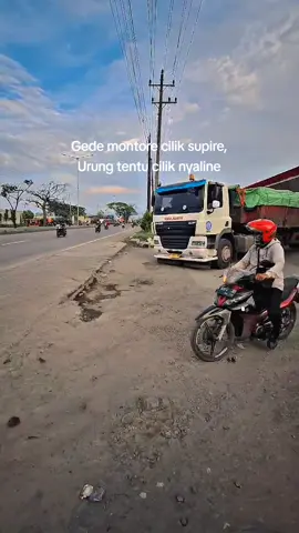 cilik awak'e gede manuk'e🤷🏻‍♂️ #sibasurya 
