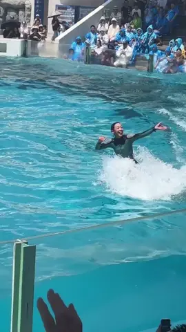 dolphin 🐬 beautiful video #trend #viral #fyp #grow #unfreezemyaccount 
