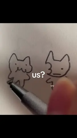 us?:) #foryou #art #doodle #cat #fyp 