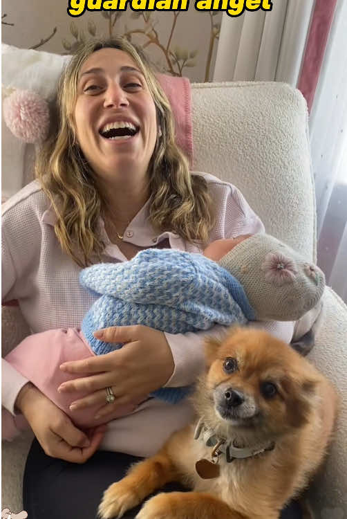 Dogs are baby guardian angels 👼 #puppy #dog #guardian #protection #baby#fyp 