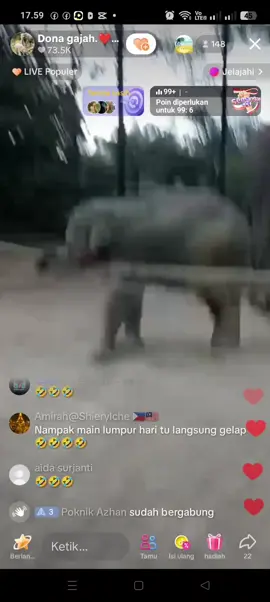 si Dona bocil yg tingkah nya bikin usil😂 ijin aplod vidio nya ya pak Mahout @Dona gajah.❤️❤️❤️ #gajahviraltiktok #donagajah #fyppppppppppppppppppppppp #fypシ゚ 