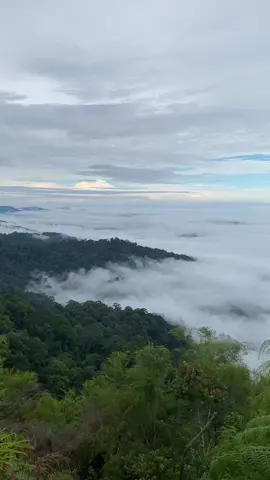 hauk dan lautan awan nya #hauk #mthauk #gunung #pendakigunung 