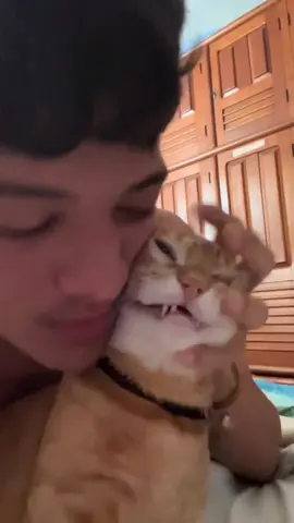 A Cat feeling Powerless#catsoftiktok #cats #funnycat #fyp #cutecat