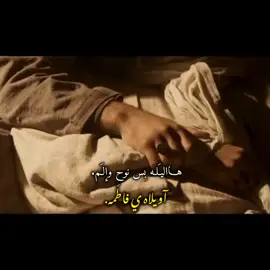 ضجت الاملاك تنعى الـ فَاطِمـهَ  - عظم الله لكِ الاجر يافاطمة 💔. #fypシ゚ #استشهاد_النبي_الأعظم #28صفر #عظم_الله_اجورنا_واجوركم_بهذا_المصاب #fypシ゚viral🖤tiktok 