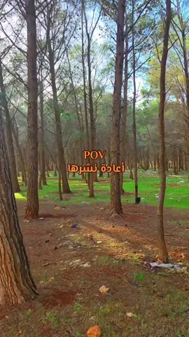 #اعادة_النشر🔃 #استغفرالله_العظيم_واتوب_اليه #سبحان_الله_وبحمده_سبحان_الله_العظيم ##قران_كريم #لا_اله_الا_الله 