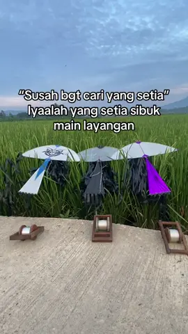 #layangan #layanganputus #layanganpayakumbuh #layanganminang #fyp 