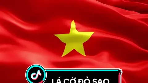 Video Cờ đỏ sao vàng bay phấp phới. Lá cờ Việt Nam bay phấp phới, lá cờ Việt Nam bay, cờ Việt Nam tung bay, lá cờ bay, lá cờ đỏ bay phấp phới để mọi người làm video mừng Quốc Khánh 2/9, 30/4,… và video cho các sự kiện yêu nước khác @Cô Ba Edit 👵  #cobaedit #cobareview #quockhanh #codosaovang #toquocvietnam 