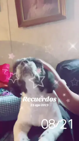 #Recuerdos 