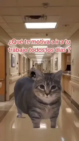 es verdad