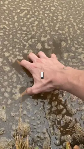 #reddit #redditstories #RedditGold #ViralStories #TrendingTales #StoryTime #MindBlowingReddit #EpicReddit #RedditDeepDive #hiddengems #storytelling #fyp #viral #explore #fypシ #foryou #RedditStories #TikTokReddit #StoryTime #TrueStory #RedditTales #ShareYourStory #TikTokTales #RealLife #LifeStories #Storytelling #CommunityStories #RedditThreads #Anecdotes #SliceOfLife #Narrative #FromReddit #ExperienceShare #ViralStories #HumanExperience #DailyStories #RedditRecap #TikTokNarratives #Storytellers #UniqueExperiences #InspiringStories #EmotionalJourney #EyeOpening #UnbelievableStories #MemorableMoments #StoryCommunity #HeartwarmingTales #MindBlown #LifeLessons #WisdomFromReddit #InspirationalStories #StoryTimeWithReddit #StoryHour #UnexpectedTurns #JawDroppingMoments #LifeReflections #StoryCorner #FascinatingStories #RedditNarratives #ShareYourExperience #LifeAdventures #AmazingStories #StoryLovers #RedditGems #ShareYourJourney #TikTokStorytime #USA #America #American #UnitedStates #usa_tiktok 
