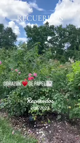 #recuerdos 