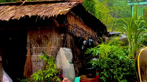 Giờ chất không chuyện “Một túp lều tranh hai quả tim vàng “ đâu… 🤦 #hurchill🍁 #binhyen #phongcanhhuutinh #mientaychill #muamualaiden😭 