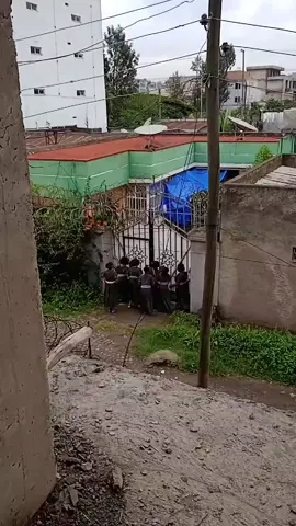 #አሸንዳ 👐#ethiopian_tik_tok🇪🇹🇪🇹🇪🇹🇪🇹 #fypシ゚ #viral 
