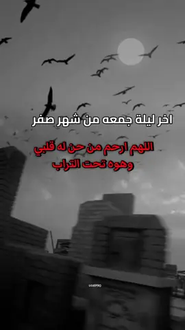 #ليلة_الجمعه_اذكروا_امواتكم_بدعوه💔 #اللهم_ارحم_ابي #الله_يرحمهم_برحمتة_الواسعة💔💔 #مقبرة_وادي_السلام_النجف 