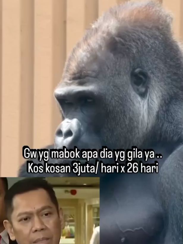 nombok katanya dia kos kosan apa yang 3jt sehari 🤣🤣🤣#DPR #padahariini #fyppppppppppppppppppppppp #rekamjejak #foryou 