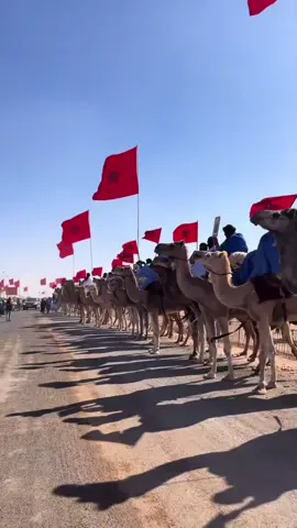 #tiktok #إكسبلور #المملكة_المغربية_الشريفة🇲🇦 #الله_الوطن_الملك👑🇲🇦 #الجالية_المغربية_في_كل_مكان💚 