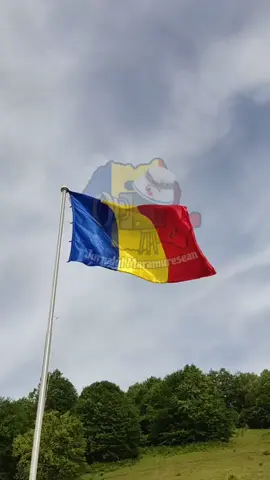 Șofer Beat Lovește O Adolescentă de 17 Ani și Fuge – Arestat pentru 24 de Ore. #jurnalulmaramureșean #fyp #accident #baiamare #stirimaramures 