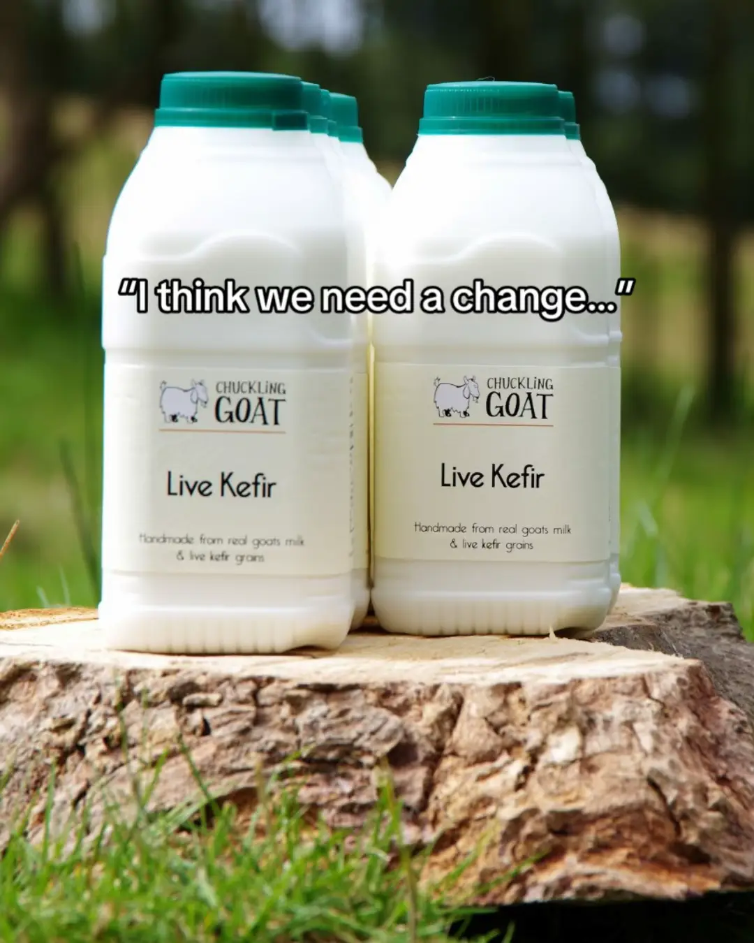 2016 vs now 🥹 What a journey! #directedbyrobertbweide #chucklinggoat #kefir #guthealth #beforeafter 