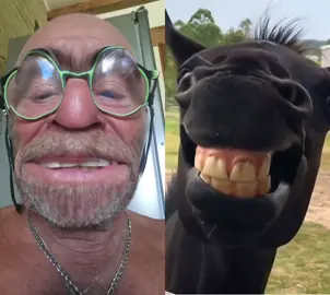 #duo avec @FunkyAnimals_3D #donkey #tik_tok #tioadrianosulano #fyp 