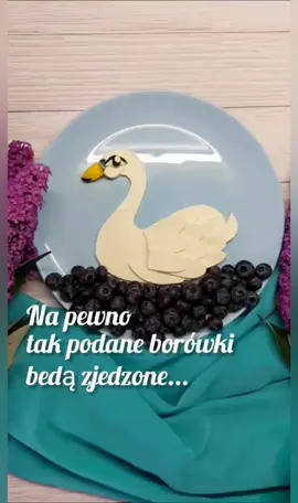 Na pewno takie borówki zje każde dziecko nawet te które mówi ,,be
