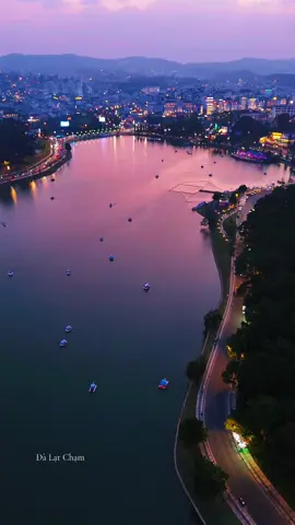 Đà Lạt chính thức mở lại đạp vịt trên Hồ Xuân Hương Đà Lạt rồi nhé ! #dalatcham #hoxuanhuong 