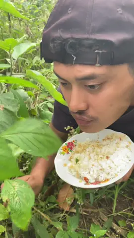 Mukbang d kebun ‘ lalapan daun si terong mentah , rasanya gurih’kriuk #mukbang  #fyp #daunsintrong 