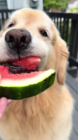 Watermelon 🍉 