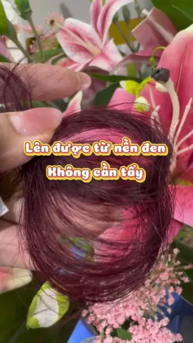 Màu tóc Phúc bồn tử nha #thuocnhuomtoc 