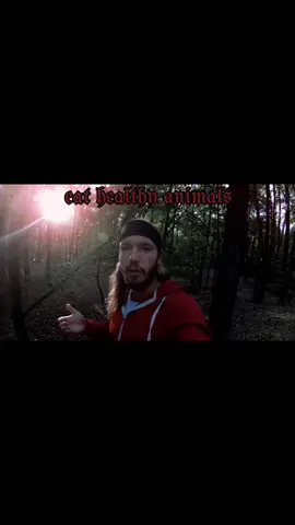 eat high quality meat ᚠ #goatis #aajonusvonderplanitz #primal #sv3rige #fyp 