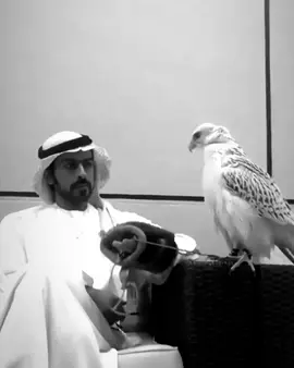 غرشوووب  #iykyk #الشيخ_خليفه_بن_طحنون #kbt #viral #explore 