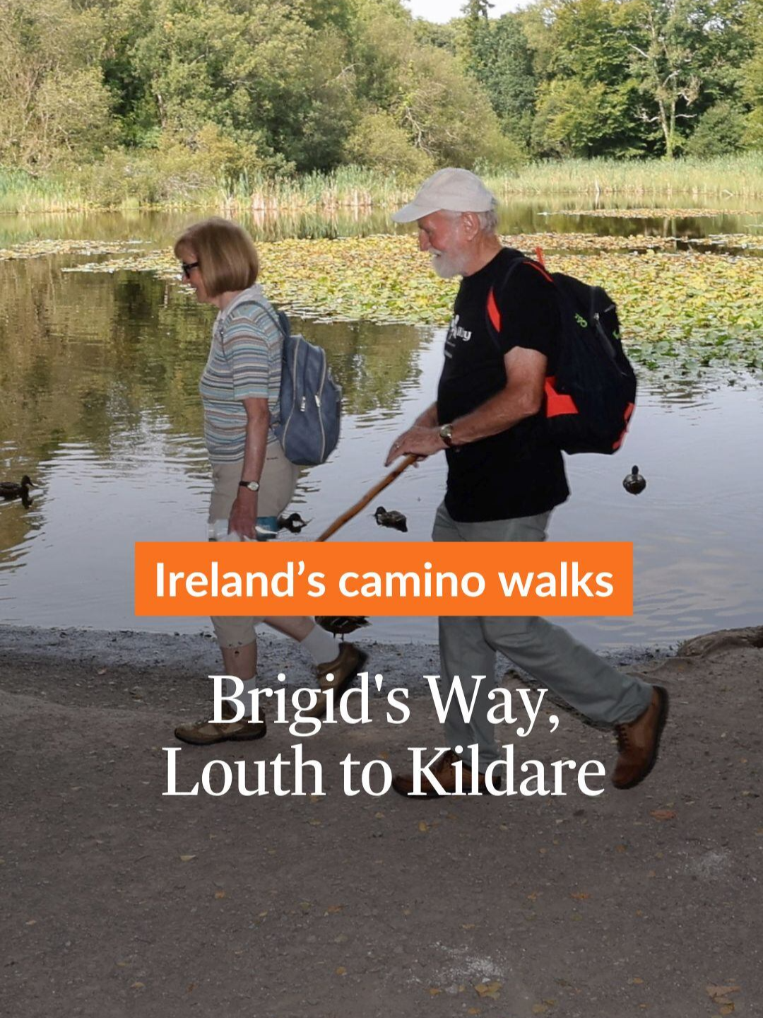 On the walking trail in Donadea Forest Park, Co Kildare, we skip through centuries as we pass part of one of Ireland’s ancient roads, a 9/11 memorial and a link to a church thought to have been built by St Patrick #walking #irishcamino  Click the link in our bio for more.