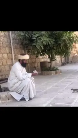 #🦚 #iraq🇮🇶 