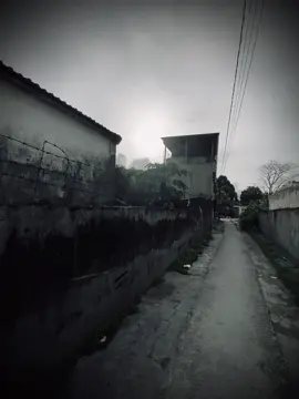 “你越在乎，你就越脆弱。所以……冷漠地生活更容易。” “Càng quan tâm nhiều, càng dễ tổn thương. Nên thôi… lạnh lùng vẫn dễ sống hơn.”