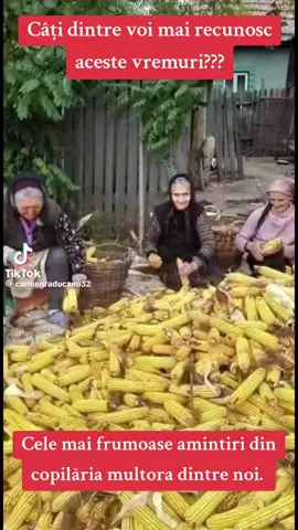 Fericirea vine din simplitate și bunătatea din smerenie🙏🥰🤗#amintiridincopilarie 