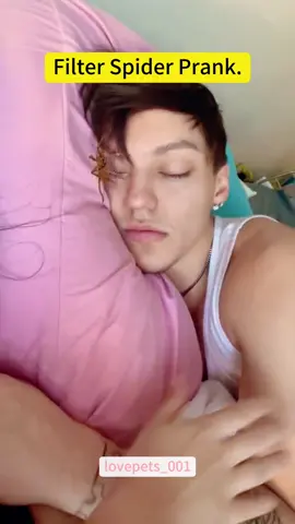 Filter Spider Prank.#funny #foryou #funnyvideos #viral #usa #fypシ #funnymoments #funnytiktok #fyp 