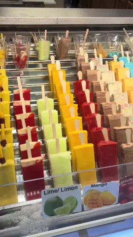 @Edgaraviles1507 this new ice cream place was so good 👌 #fyp #paletas #twinfalls #dubiachocolatepaleta #chamoypaleta 