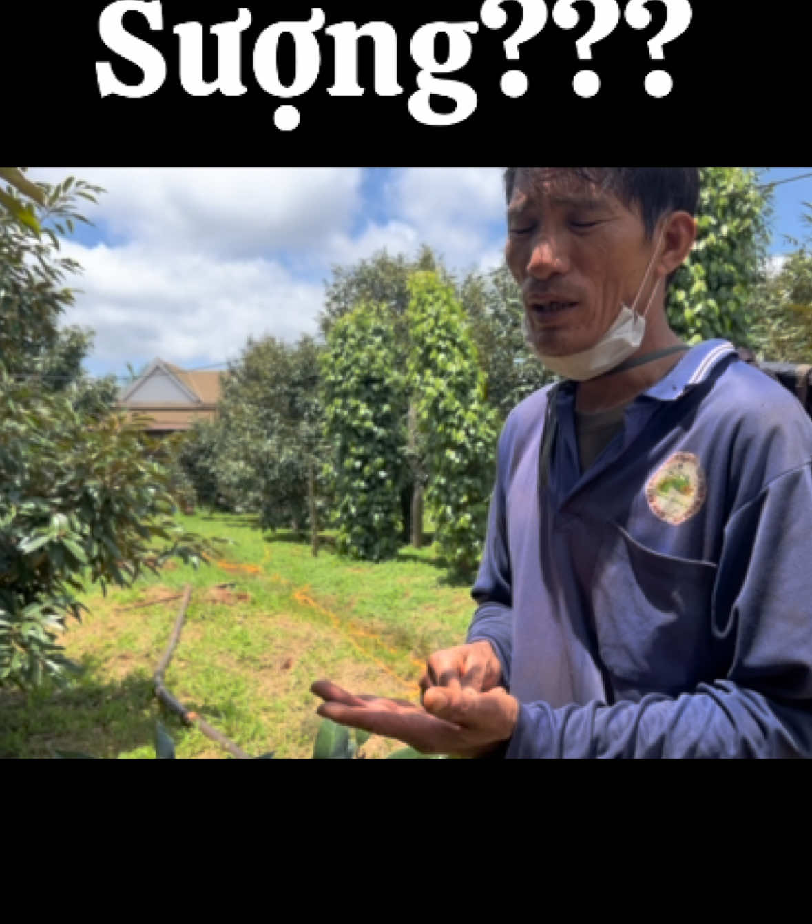 Nấm sượng #saurieng #sauriengtaynguyen #sauriengdaklak #nongdanvietnam #tiengnoinongdan 