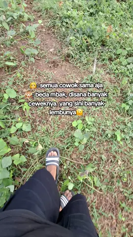 kabarin kalo sama😅 #peternakmuda #setiafarm #masukberanda  #fyppppppppppppppppppppppp 