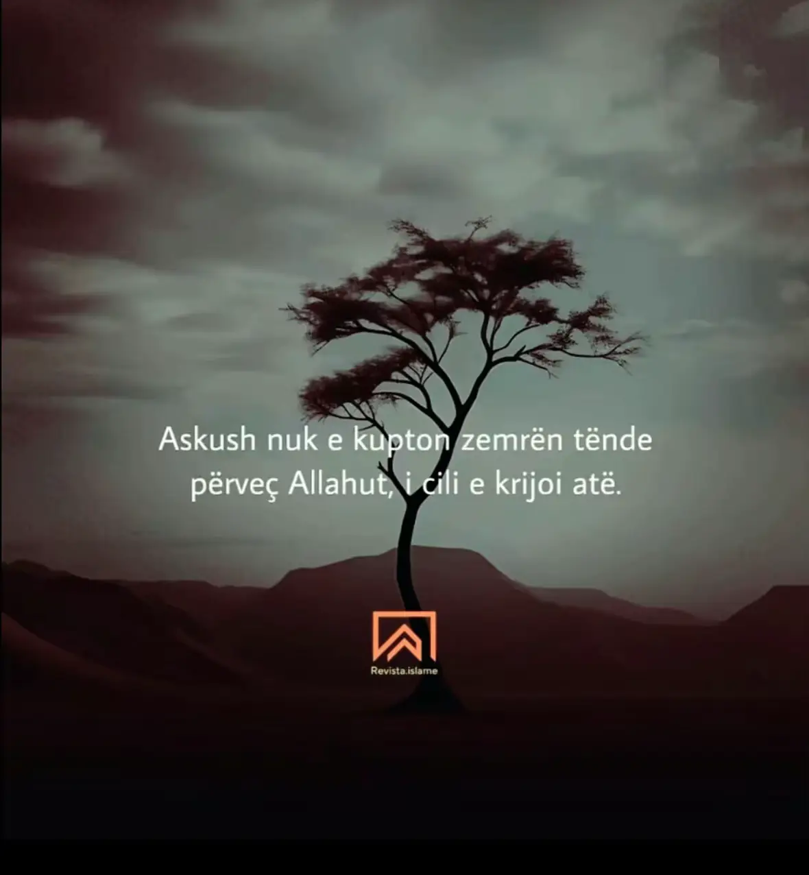 Amin🤲🏻#alhmdulillah #fyp #fy #viralvideos #04🇽🇰🇩🇪 